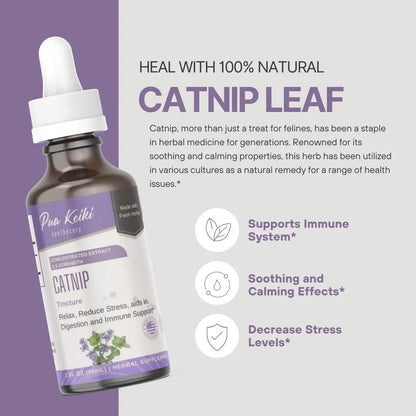 Catnip Tincture Pua Keiki