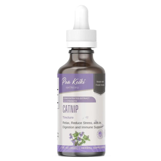 Catnip Tincture Pua Keiki