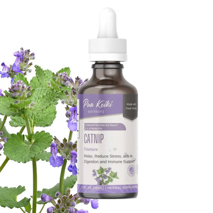 Catnip Tincture Pua Keiki