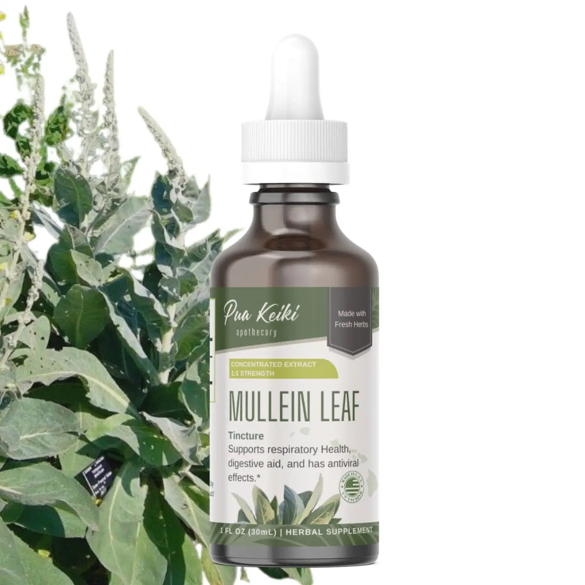 Mullein Tincture Pua Keiki