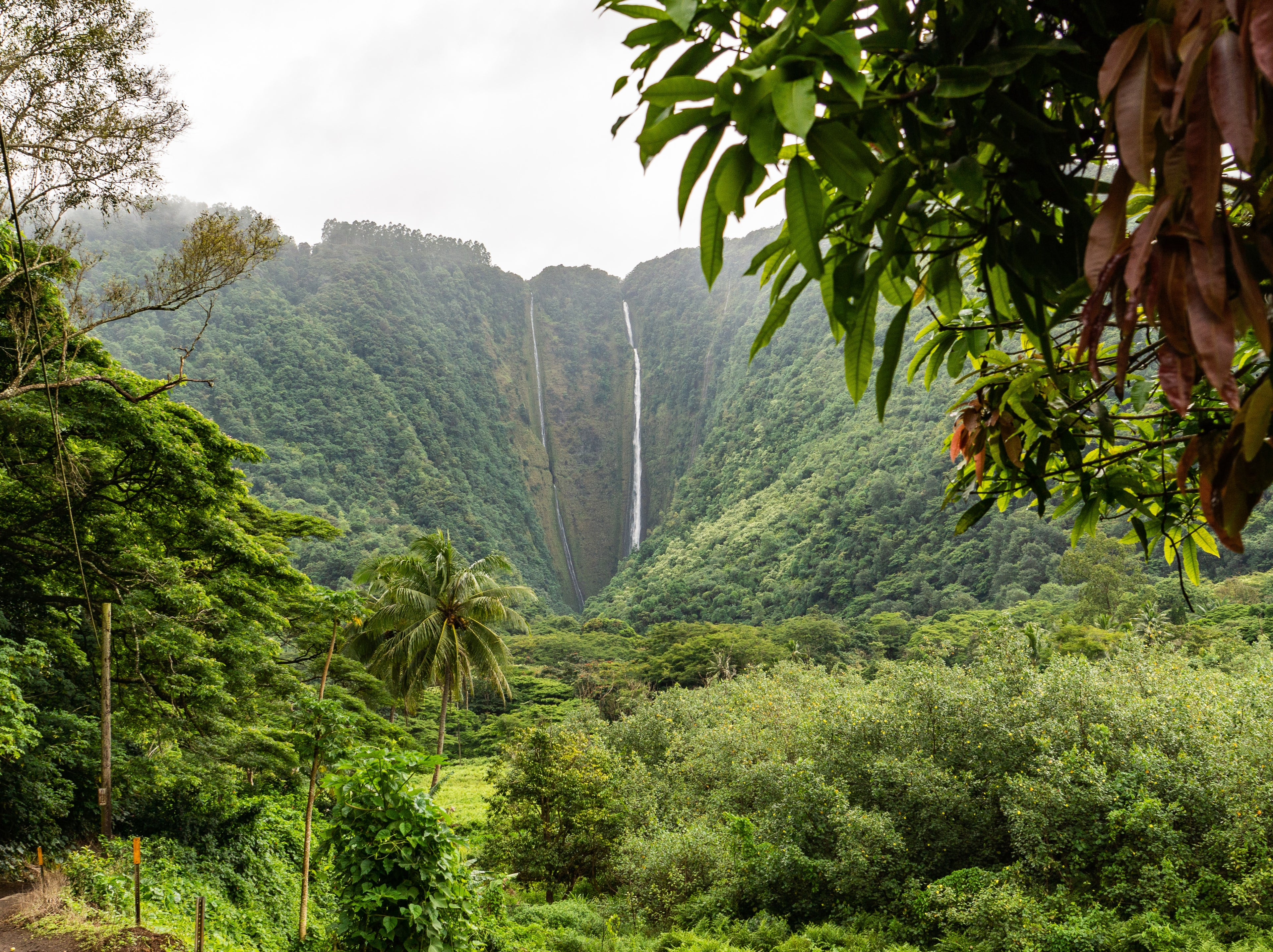 Big Island, Hawaii